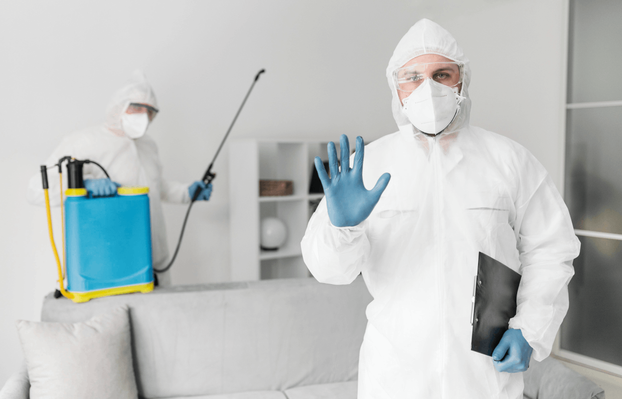 From Termites to Roaches: Client Reviews of Hawx Pest Control