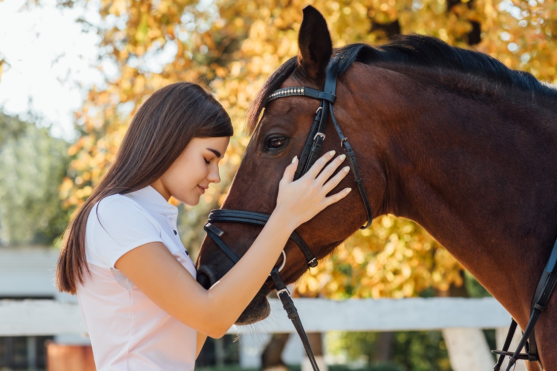 How Equine Therapy Supports Addiction Treatment